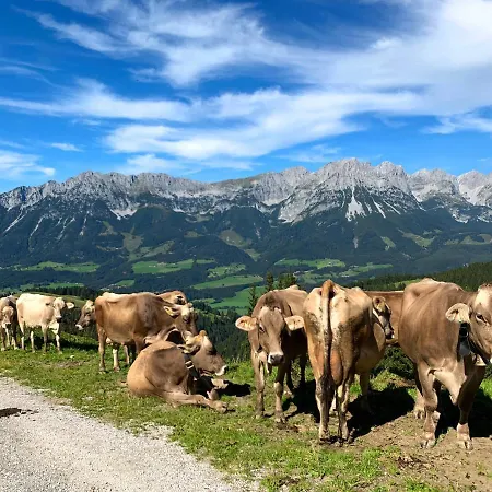 Apartment Traumhafte Lage, Einzigartiges Panorama Scheffau am Wilden Kaiser